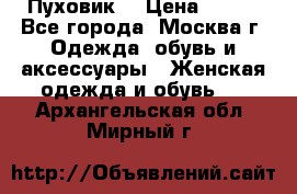 Пуховик  › Цена ­ 900 - Все города, Москва г. Одежда, обувь и аксессуары » Женская одежда и обувь   . Архангельская обл.,Мирный г.